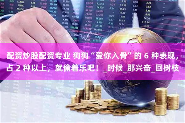 配资炒股配资专业 狗狗“爱你入骨”的 6 种表现，占 2 种以上，就偷着乐吧！_时候_那兴奋_回树枝