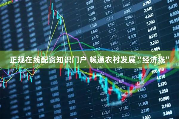 正规在线配资知识门户 畅通农村发展“经济线”