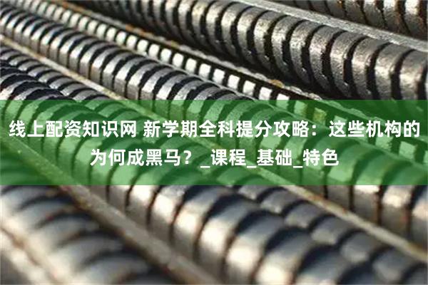 线上配资知识网 新学期全科提分攻略：这些机构的为何成黑马？_课程_基础_特色