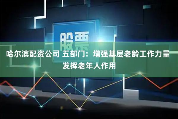 哈尔滨配资公司 五部门：增强基层老龄工作力量 发挥老年人作用